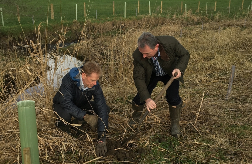 Tree Planting