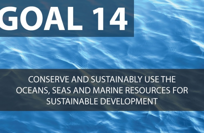 SDG 14