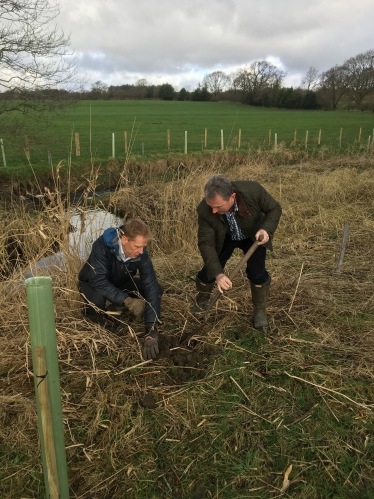 Tree Planting