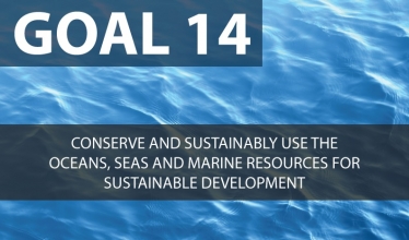 SDG 14